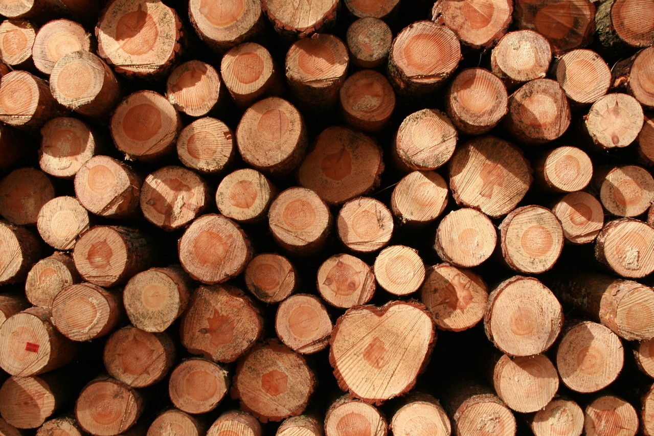 Ekologiczne materiały budowlane czyli jakie?