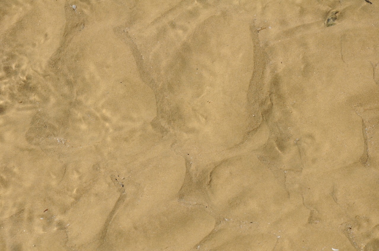 Virginia Beach, Wirginia
